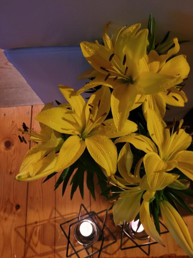 Apartament Lilla Jelenia Góra Kültér fotó