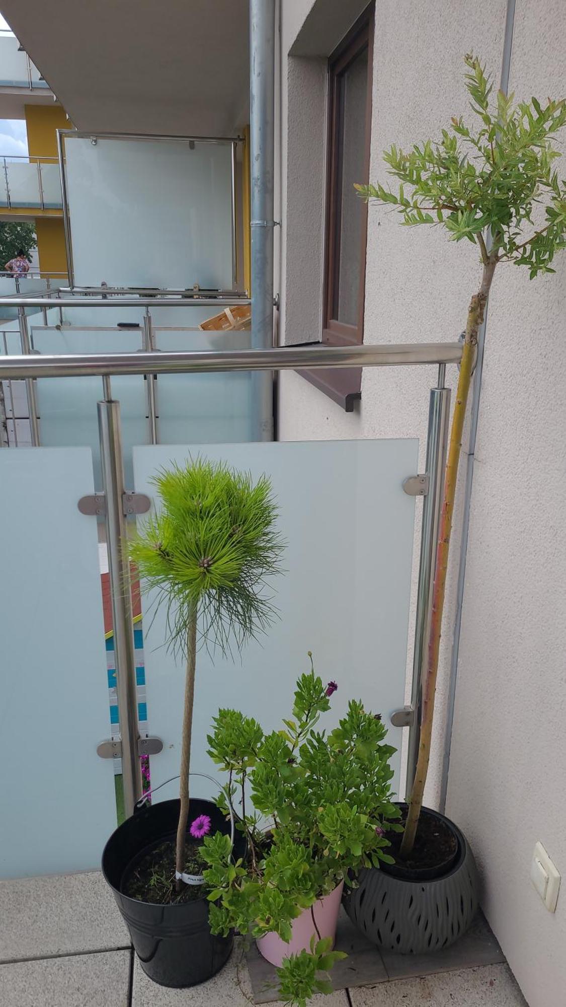 Apartament Lilla Jelenia Góra Kültér fotó